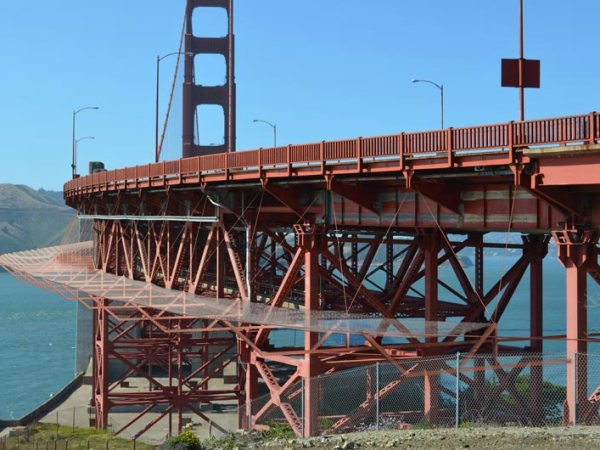 From Suicide to Illegal Logging: Asking “Why?”