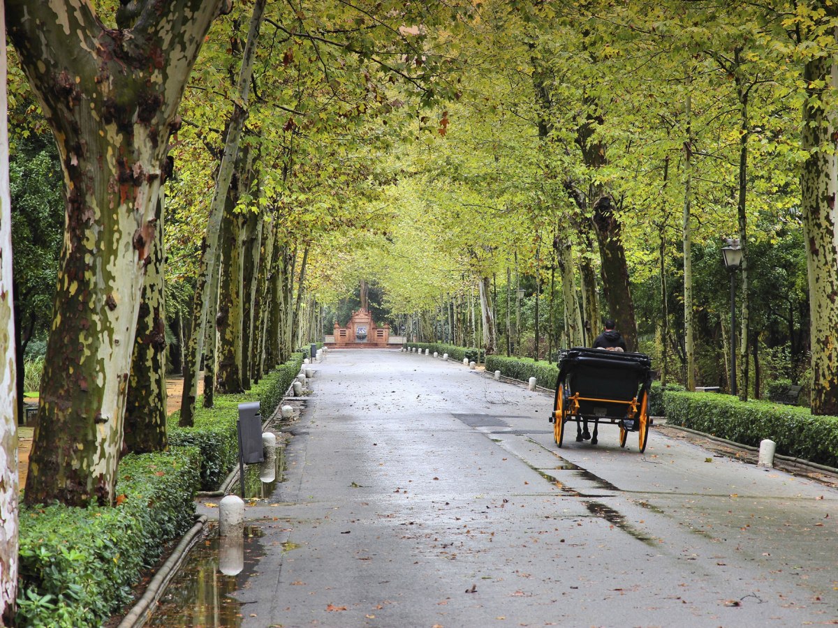 Parque de María Luisa: The Archetype for Green Spaces